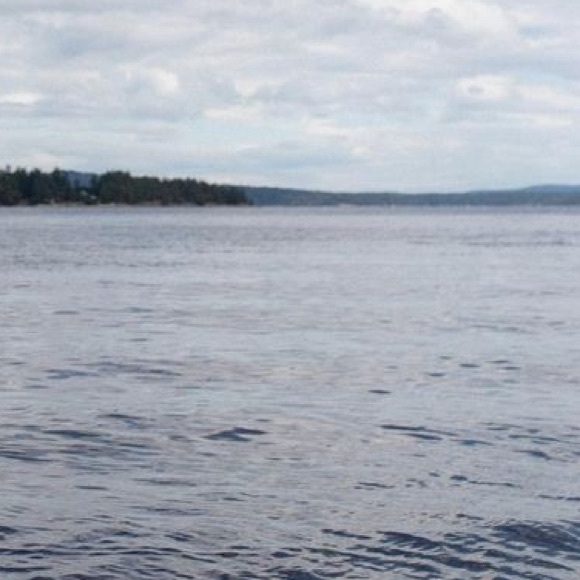 Meet your Posher - Picture 1 of 1